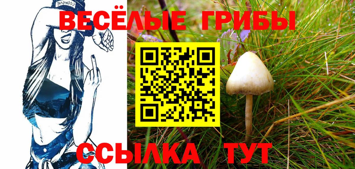 Галлюциногенные грибы ЛСД Тула