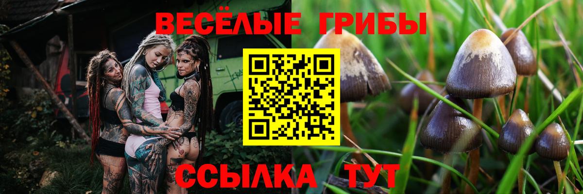 Галлюциногенные грибы Тула